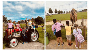 Family centre events in May